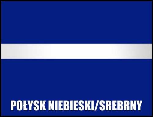 BG12 poł niebieski srebrny.jpg