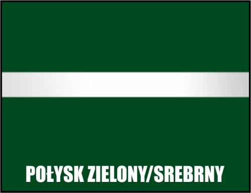 BG13 poł zielony srebrny.jpg